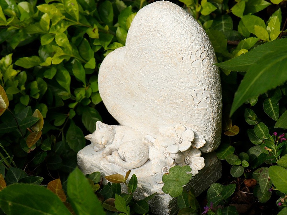 White heart shaped memorial stone with a sleeping cat resting against it, placed among leaves