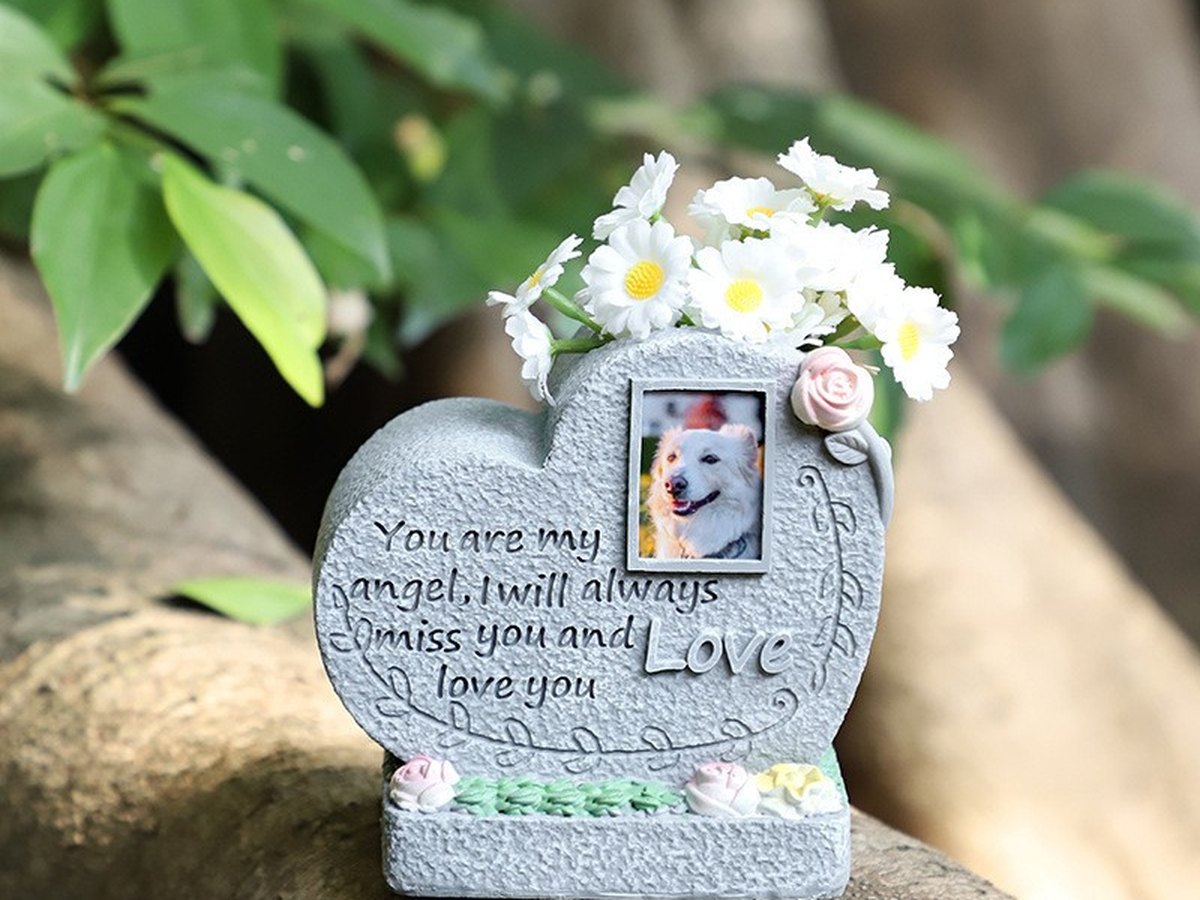 Heart shaped grey memorial stone with a recessed photo window, ringed with daisies