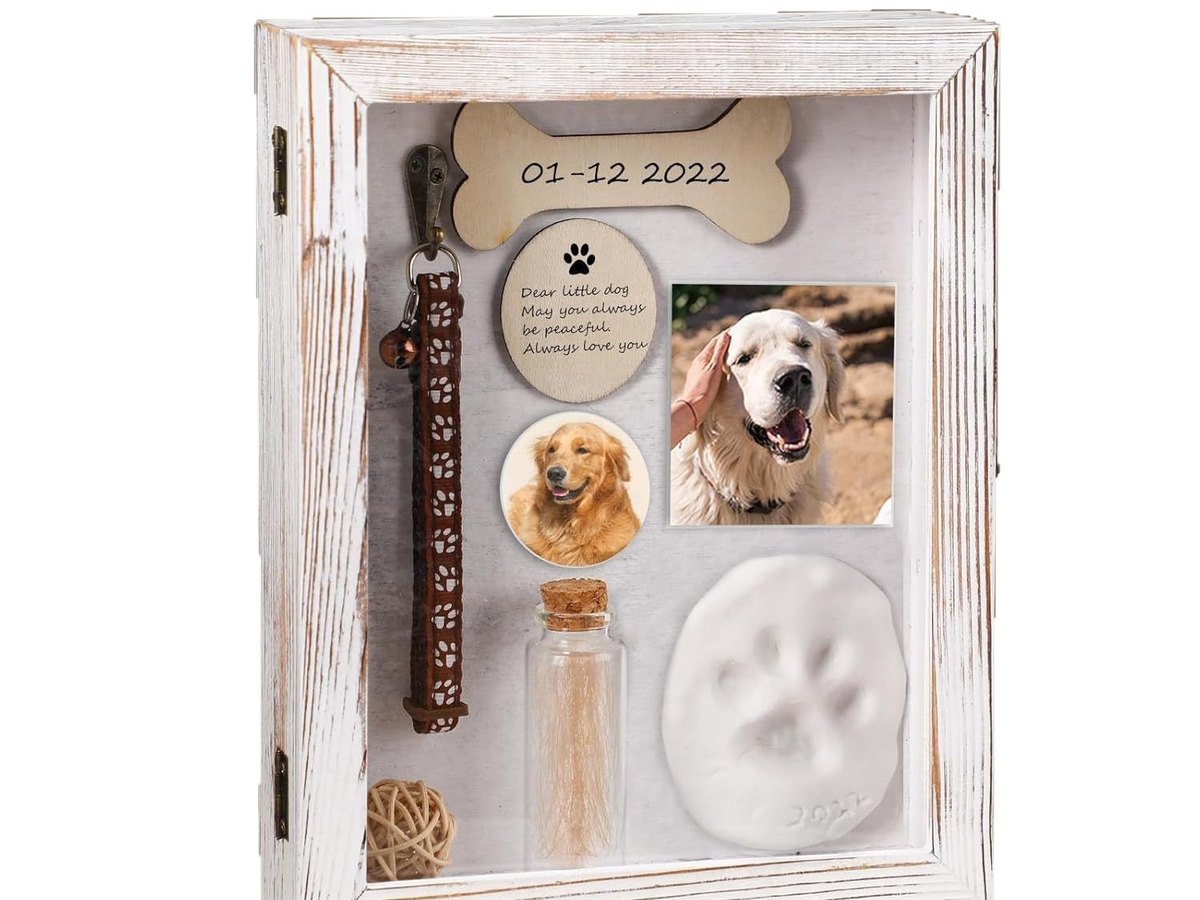 Whitewashed wooden shadow box holding a collar, two photographs, an engraved plaque, a hair vial and a clay paw print